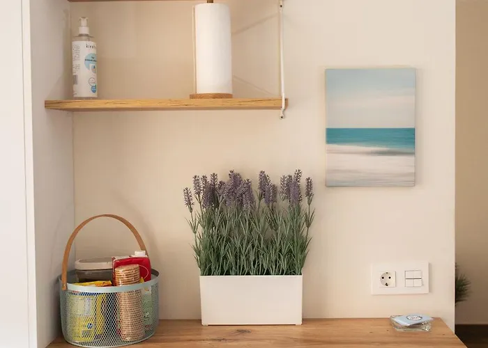 El De Andrea, Callao3gijon *